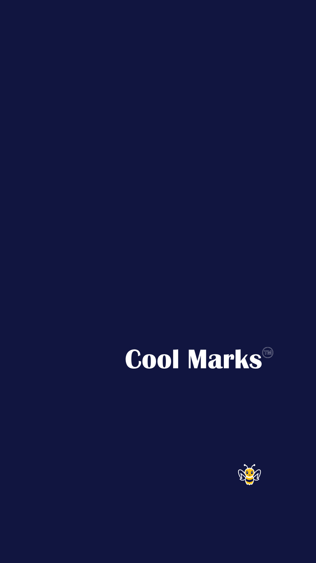 Cool Marks by Madison Cool is more than a journal it is your creativity and productivity thinking companion.